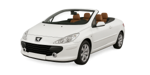 voiture307cc